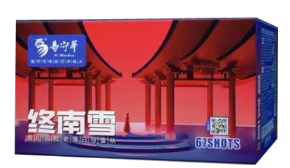 67发终南雪 的图片